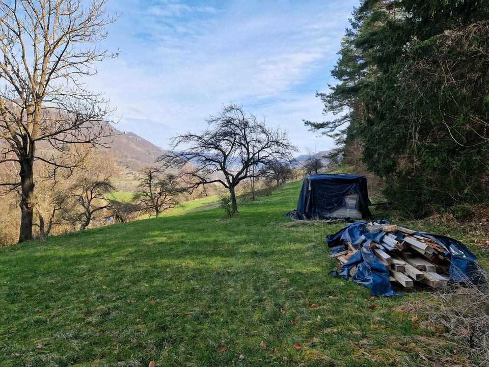 Wiese / Freizeitgrundstück in Bad Überkingen in Geislingen an der Steige