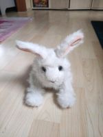 Hase von FurReal Friends Hessen - Hosenfeld Vorschau