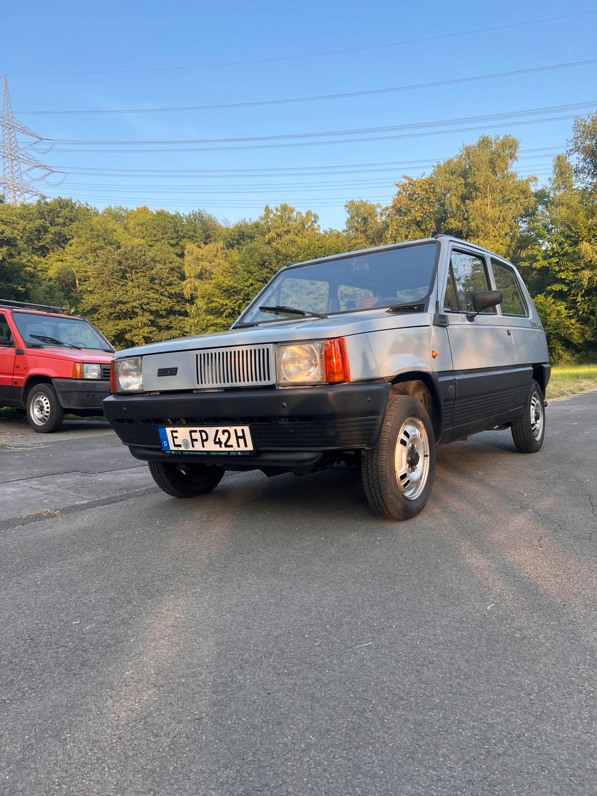 Abbildung des Autos FIAT Panda Welli Sonderm…