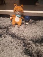 Klein teddy Dortmund - Eving Vorschau