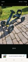 Gokart Berg Rappy Raptor 2-5 Niedersachsen - Bleckede Vorschau