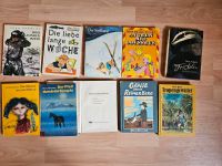 DDR Kinder Bücher 10 Stück Brandenburg - Sydower Fließ Vorschau