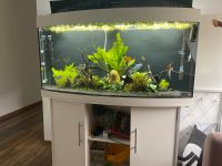 Aquarium Juwel Vision 260 Hessen - Neuhof Vorschau