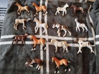 Schleich Pferde Fohlen Bad Doberan - Landkreis - Tessin Vorschau