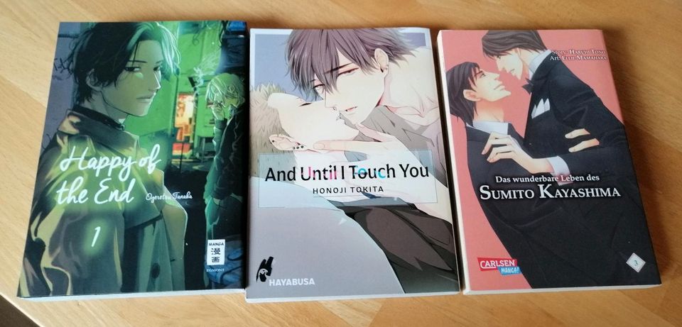 Manga BL Happy of the End , And until I touch you , Sumito in Moorrege