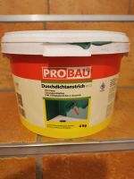 Duschdichtanstrich von Probau Baden-Württemberg - Linkenheim-Hochstetten Vorschau