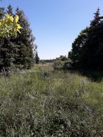 2000 m² Garten / Bauland in Neuhardenberg Brandenburg - Neuhardenberg Vorschau