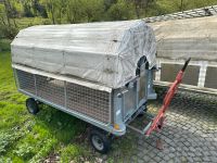 Holzwagen mobiler Hühnerstall Hühnermobil, Gepäckwagen Bielefeld - Stieghorst Vorschau