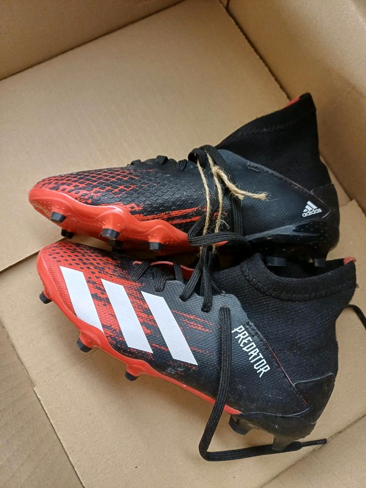 Reserviert: Fußballschuhe, Adidas Predator, Gr. 33 in Michendorf