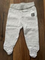 Babyhose von Patinio Niedersachsen - Rotenburg (Wümme) Vorschau