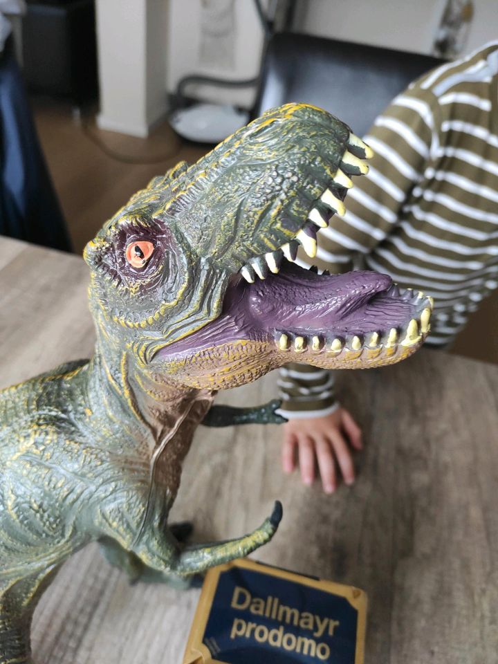 Dinosaurier T-Rex 50cm hoch in Gadebusch