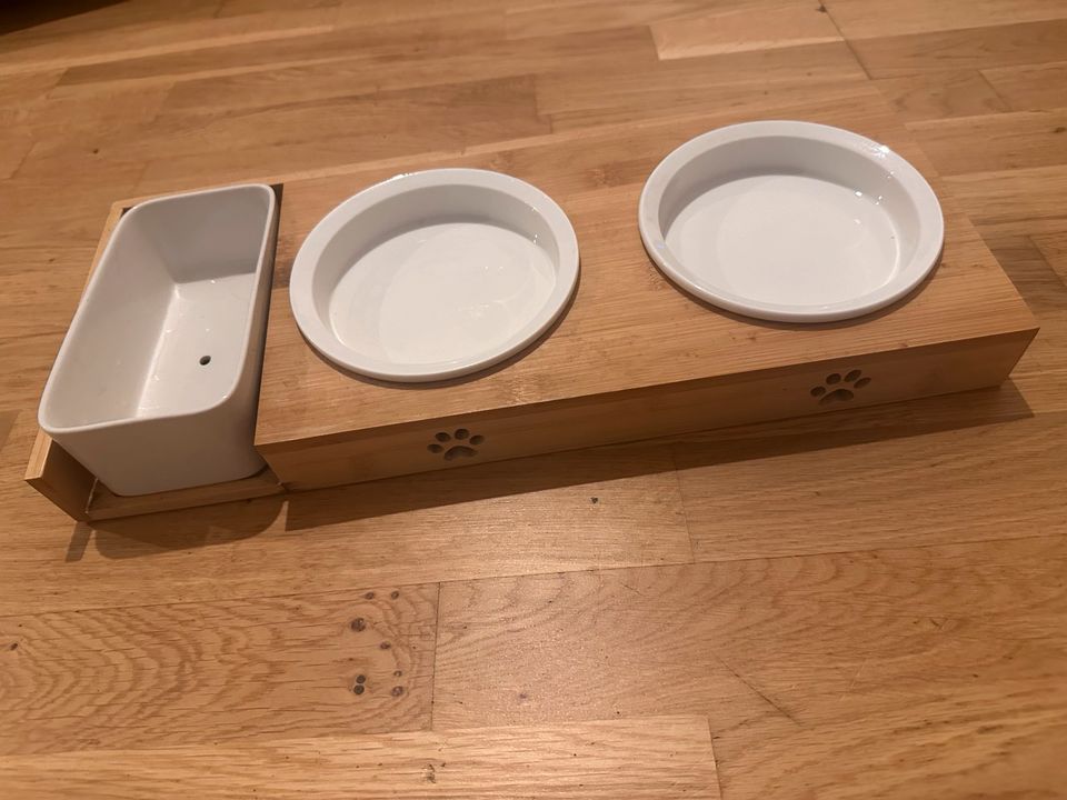 Feeding station for cats in Berlin