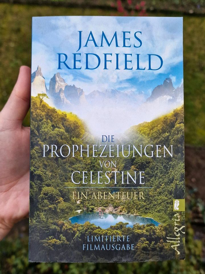 Die Prophezeiungen von Celestine James Redfield Abenteuer in Forchheim