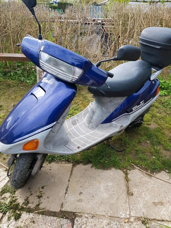 Honda Bali Mofa Roller zu verkaufen/ Bis Mittwoch 600€! in Heiligenhafen 