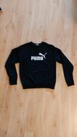Puma Sweatshirt, Damen, Gr.S/36 Bayern - Lenting Vorschau