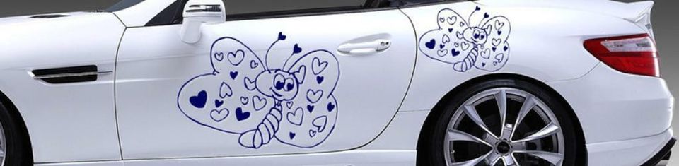 FUN BUTTERFLY TUNING KFZ CAR HECK SEITEN STICKER AUTOAUFKLEBER in Waltershausen