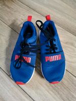 Puma blau 32 Borsdorf - Panitzsch Vorschau