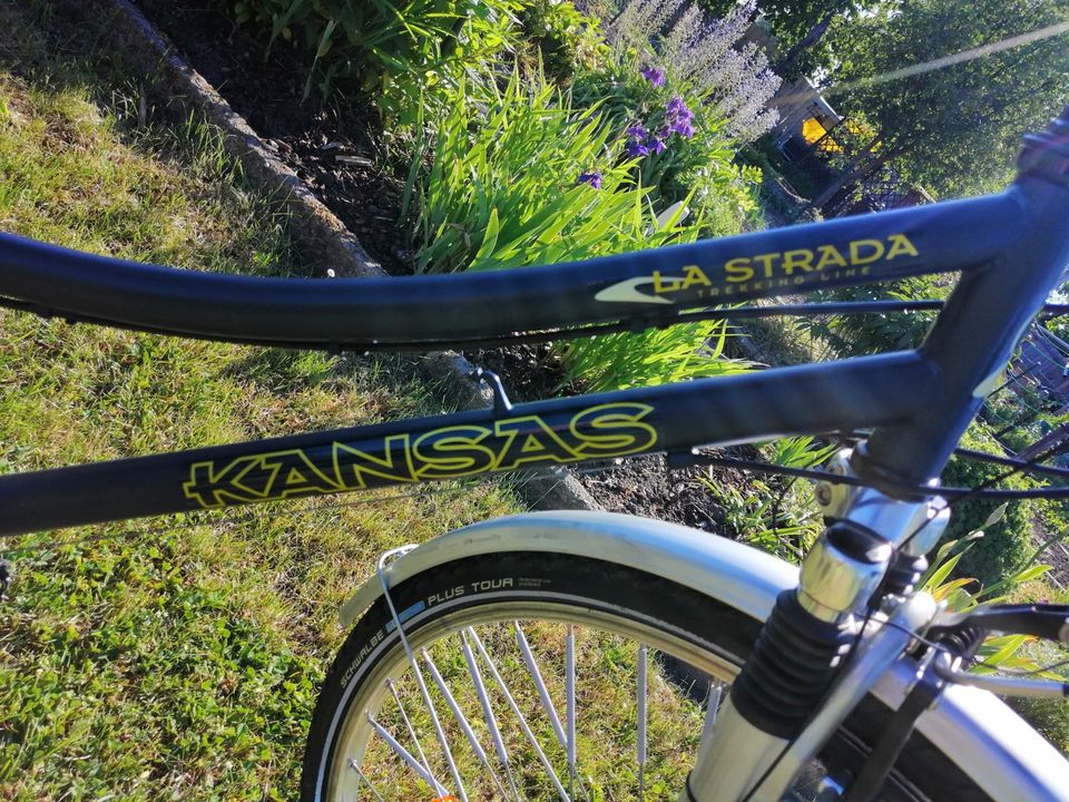 Damen Trekking-Fahrrad mit Bügelschloß & kleinem Fahrradcomputer in Chemnitz