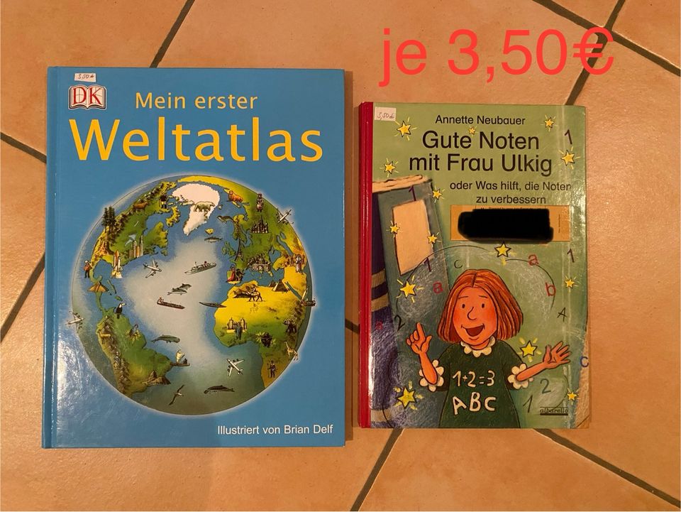 Bücher für Kinder Pony Pferde - Leserabe Leselöwe Sternenschweif in Sulzberg