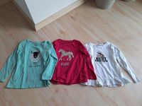 Longsleeve Langarmshirt Shirt Pferd Pferde Set Kleiderpaket 98 Bayern - Wachenroth Vorschau
