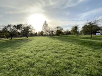 Baugrundstück in Bestlage ohne Bauzwang ! Scheuerfeld 997 m² Bayern - Coburg Vorschau