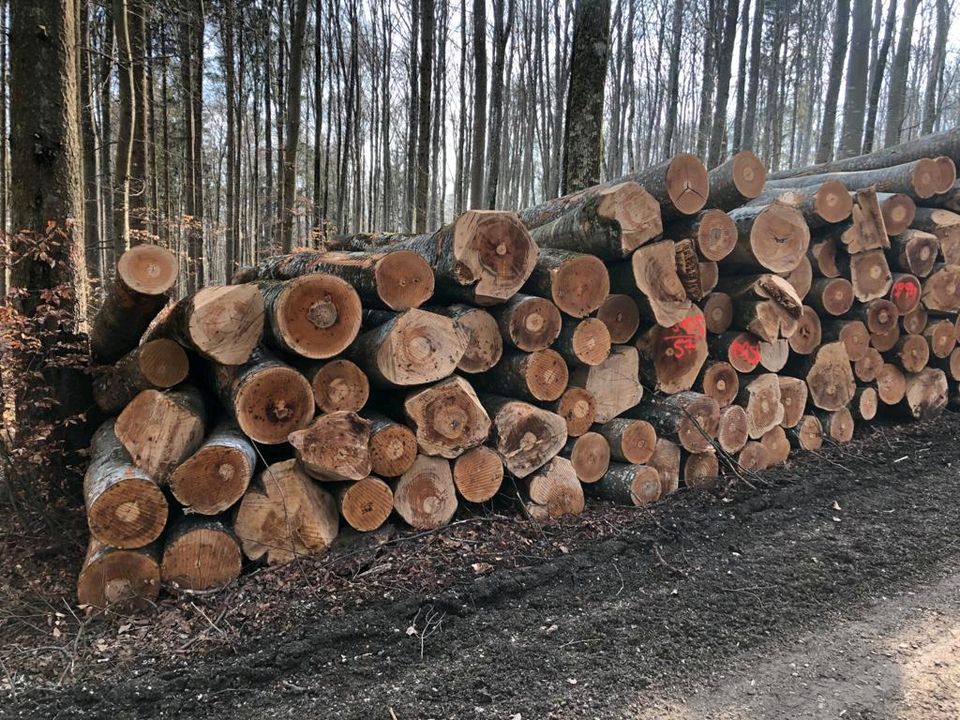 Brennholz Hartholz Buchenholz in Bösingen