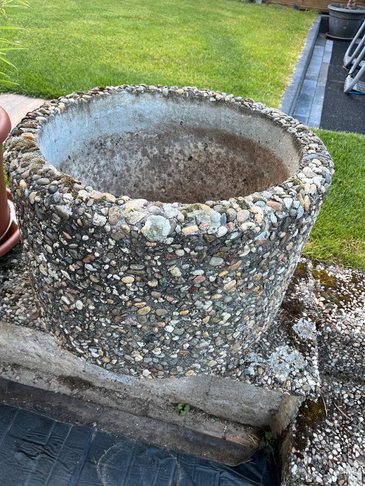 Waschbetonkübel in RheinlandPfalz Rockenhausen eBay Kleinanzeigen