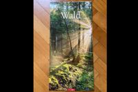 Wandkalender "Im Wald" 69cm x 33cm, sehr guter Zustand Neuhausen-Nymphenburg - Nymphenburg Vorschau