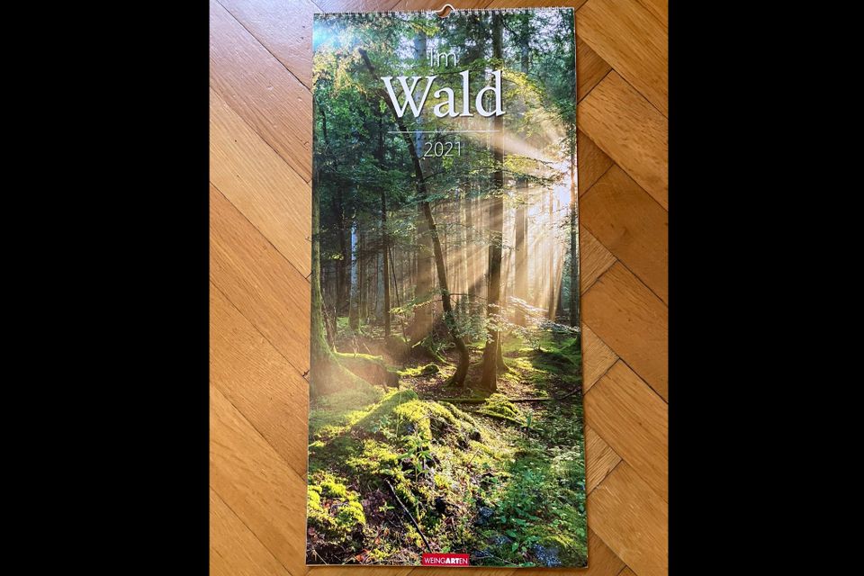 Wandkalender "Im Wald" 69cm x 33cm, sehr guter Zustand in München