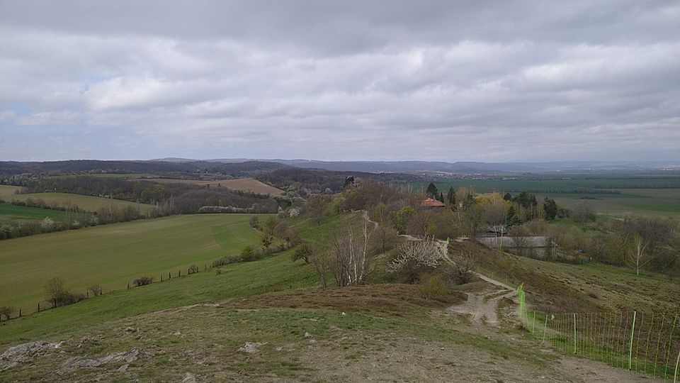 Urlaub in moderner Ferienwohnung in Pansfelde Falkenstein Harz in Meisdorf