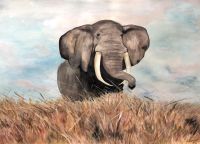 Elefant Big Tusker Aqurell Portrait 1993 Afrika Bayern - Falkenfels Vorschau