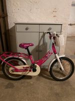 Kinder Fahrrad 16Zoll Leipzig - Großzschocher Vorschau