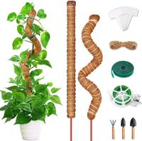 Monstera Rankhilfe,2 Pack 64cm Pflanzstab Kokos Duisburg - Rheinhausen Vorschau