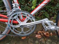 Motobecane Herren Rennrad Vintage Rh 58 cm Sachsen-Anhalt - Dessau-Roßlau Vorschau