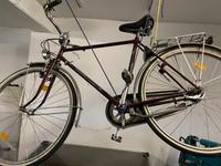 Herrenfahrrad Bayern - Mettenheim Vorschau