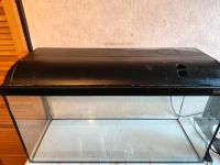 Aquarium 80cm Nordrhein-Westfalen - Bornheim Vorschau