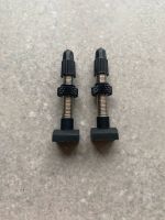 Tubeless Ventile DT Swiss Neu Ventil Nordrhein-Westfalen - Bad Salzuflen Vorschau