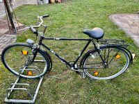 Möve altes Fahrrad DDR Mühlhausen Herrenrad 28" Brandenburg - Burg (Spreewald) Vorschau