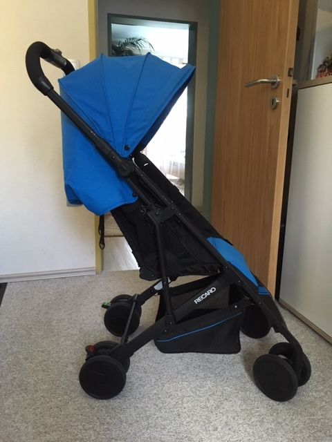 Reacaro Easylife Buggy mit vielen Extras,Super Zustand in Wendelstein