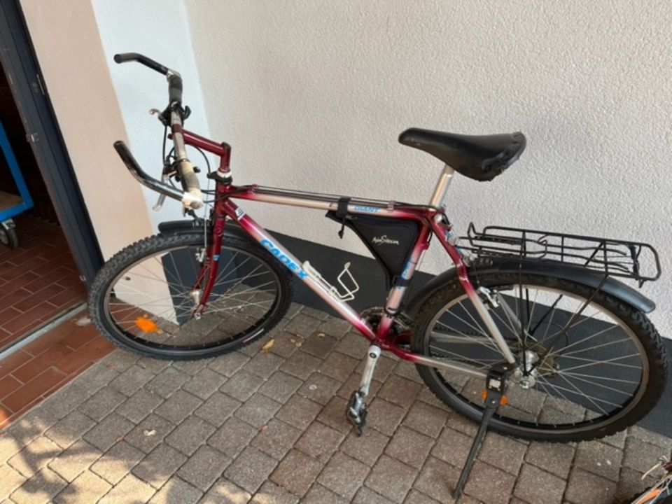 2 Stück - Fahrrad - Mountenbike - Fahrräder - GIANT in Hausen i. Niederbayern