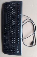 PC Tastatur Logitech Deluxe 250 Keyboard schwarz USB Niedersachsen - Celle Vorschau
