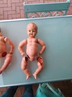 Zwei Puppen aus den 60er Jahren Nordrhein-Westfalen - Espelkamp Vorschau