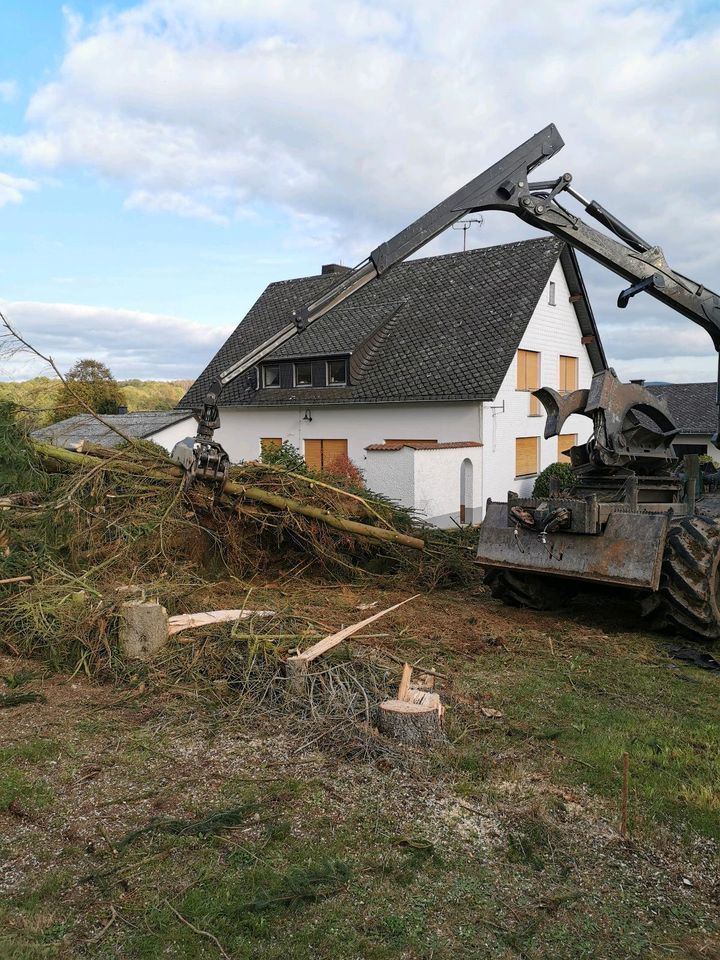 Heckenschnitt, Baumfällungen in Nonnweiler