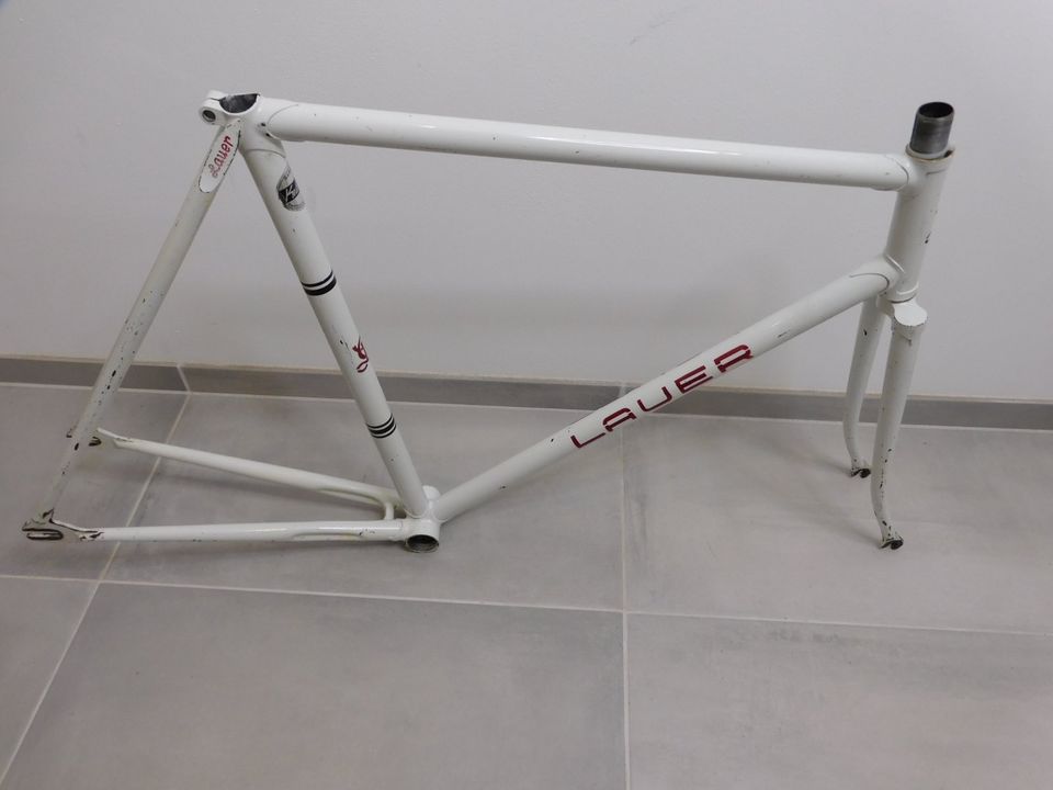 Bahnrad / Pista / Track "Claus Lauer" Campagnolo RH 53 cm in Dortmund