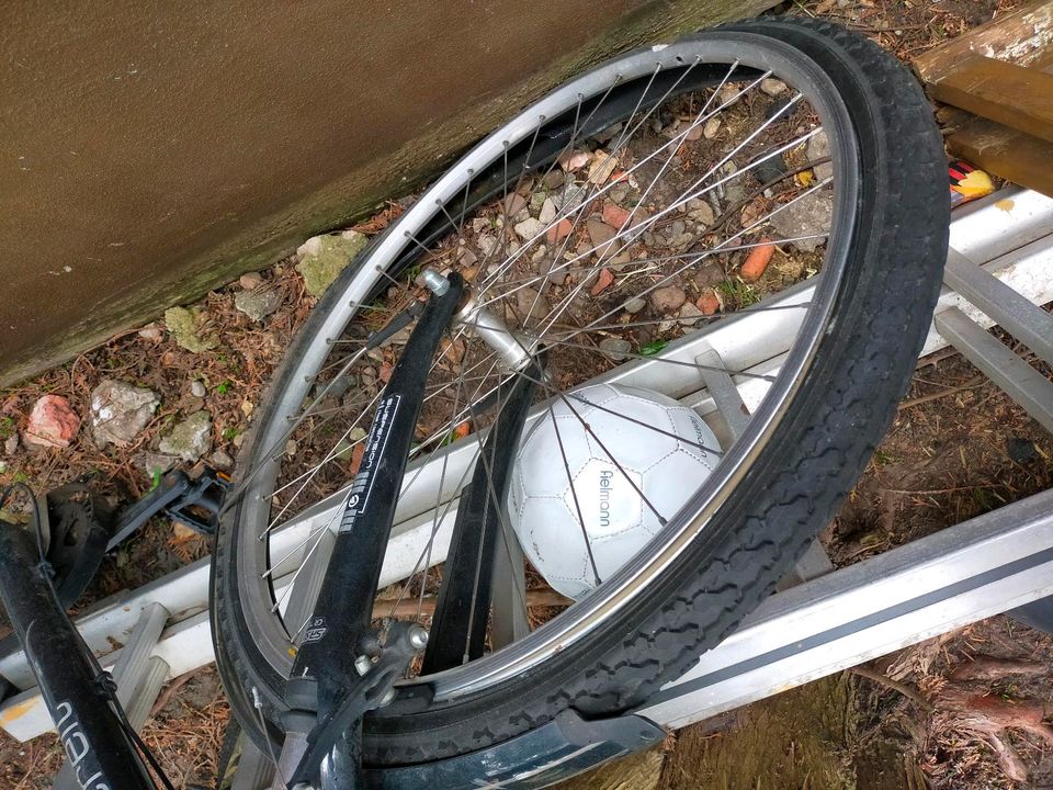 Fahrrad Rad 28 Zoll in Wunstorf