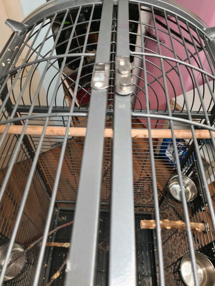 Montana Papageien Voliere zu verkaufen in Neuenbürg
