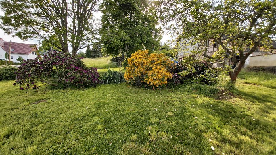 41+ Grundstück Garten Pachten, Wenn sie ein grundstück pachten,
