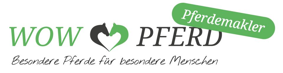 Pferdemakler Service Pferdevermittlung Pferdeverkauf PRE Lusitano in Attenkirchen