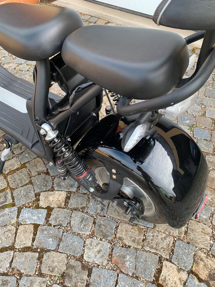 E-Roller/E-Scooter mit breiten Reifen in Nittendorf 