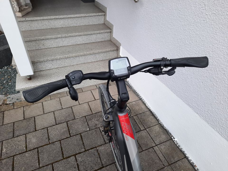 E-Bike Hercules Futura Comp I10 in Karlshuld